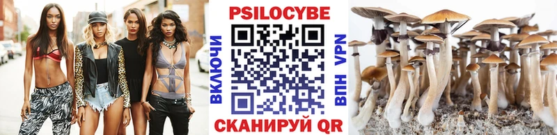 Псилоцибиновые грибы Psilocybe Бор