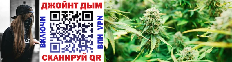 Шишки марихуана Bruce Banner Бор